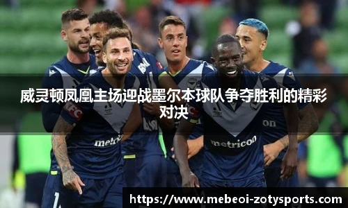 中欧体育zoty网址