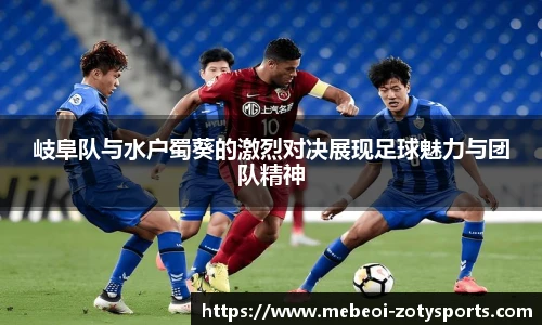 中欧体育